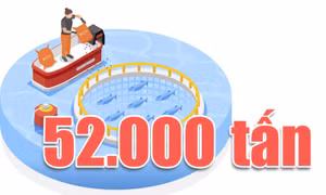 52.000 tấn - là sản lượng nuôi trồng thủy sản toàn tỉnh trong 5 tháng đầu năm 2026