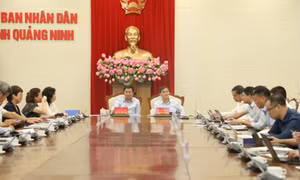 Đoàn công tác của Bộ Xây dựng làm việc với tỉnh về Quy hoạch chung đô thị Quảng Ninh