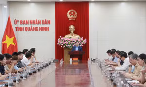 Đồng chí Chủ tịch UBND tỉnh gặp mặt các cơ quan báo chí