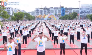 Điểm đến của những sự kiện văn hóa, thể thao tầm cỡ
