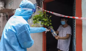 Thuốc molnupiravir cho F0 tại nhà 'giảm tải lượng virus hiệu quả'