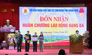Tổng kết phong trào Hành động vì nạn nhân chất độc da cam/dioxin