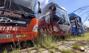 Vận tải vùng cao lao đao bên bờ phá sản