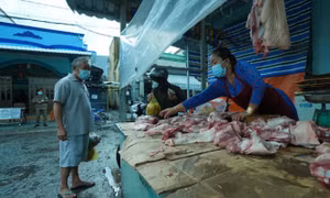 Giá lợn hơi tăng trở lại mốc 50.000 đồng/kg sau khi giảm “sốc”