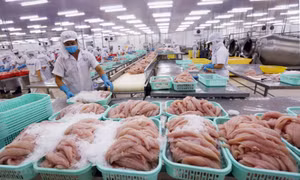 Dịch bệnh kéo dài, xuất khẩu hàng hóa suy giảm
