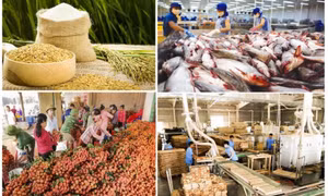 Xuất khẩu nông lâm thủy sản tiếp tục giữ đà tăng trưởng