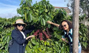 Đầu tư chuyển đổi số để phát triển du lịch nông thôn