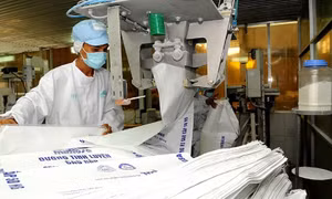 Ngành mía đường: Bất cập trong quan hệ mua - bán mía nguyên liệu