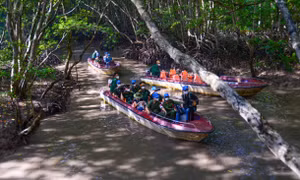 Du lịch rục rịch hồi sinh với tour an toàn