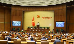 Thông cáo báo chí số 10, Kỳ họp thứ 2, Quốc hội khóa XV
