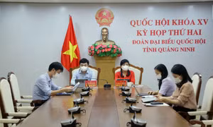 Quốc hội thảo luận trực tuyến về lĩnh vực kinh tế, đất đai