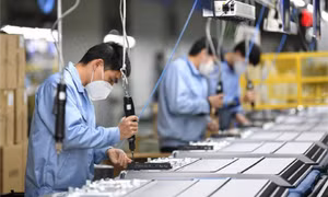 Kinh tế dần phục hồi, hơn 8.000 doanh nghiệp thành lập mới trong tháng 10