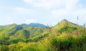 Mùa cỏ lau ở Bình Liêu