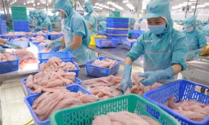 VASEP: Dự báo xuất khẩu thủy sản năm nay chỉ đạt 8,4 tỷ USD