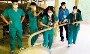 Nâng cao năng lực thích ứng của doanh nghiệp du lịch