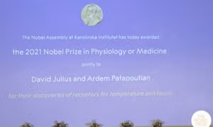 Hai nhà khoa học được vinh danh với giải Nobel Y Sinh 2021