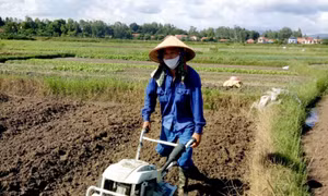 Xây dựng vành đai rau xanh an toàn