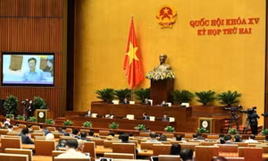 Thông cáo số 8, Kỳ họp thứ hai, Quốc hội khóa XV