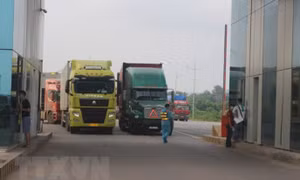 Thông tin gấp với doanh nghiệp xuất khẩu thực phẩm vào Trung Quốc