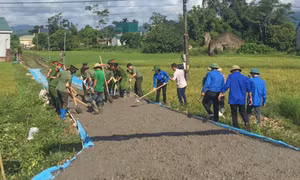 Niềm tin quê hương đổi mới