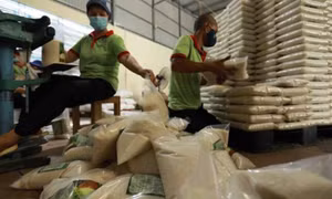 Nhãn hiệu Gạo Việt Nam được bảo hộ tại 22 quốc gia trên thế giới