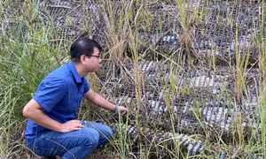 "Cây sáng kiến" Đỗ Văn Tưởng