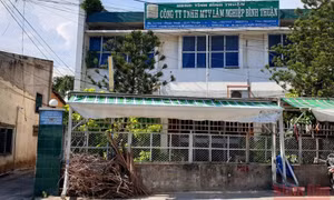 Khởi tố nguyên Tổng Giám đốc và Phó Tổng Giám đốc Công ty Lâm nghiệp Bình Thuận