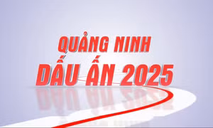 Quảng Ninh: Dấu ấn 2025