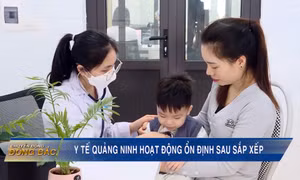 Y tế Quảng Ninh hoạt động ổn định sau sắp xếp