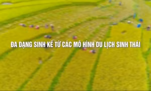 Đa dạng sinh kế từ các mô hình du lịch sinh thái