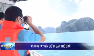 Chung tay gìn giữ di sản thế giới