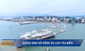 Quảng Ninh: Sôi động du lịch tàu biển