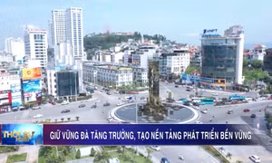Giữ vững đà tăng trưởng, tạo nền tảng phát triển bền vững