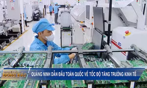 Quảng Ninh dẫn đầu toàn quốc về tốc độ tăng trưởng kinh tế