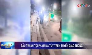 Đấu tranh tội phạm ma túy trên tuyến giao thông