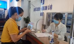 Thủ tục nhận hỗ trợ với lao động tự do và lao động có hợp đồng