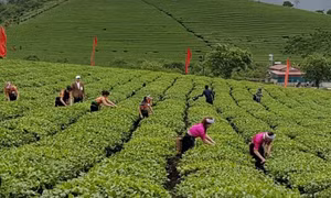 Vượt lên đại dịch, nền kinh tế tiếp tục ghi nhận kết quả tích cực