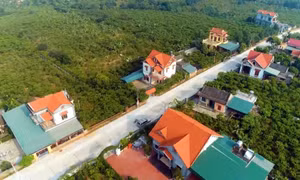 Đột phá từ nghị quyết về "tam nông"