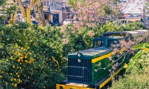 Ngẩn ngơ ngắm góc đường tàu ở Đà Lạt nên thơ như truyện tranh Nhật