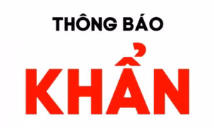 Khẩn tìm người đi trên chuyến bay VN1274 từ TP. Hồ Chí Minh về Thanh Hóa