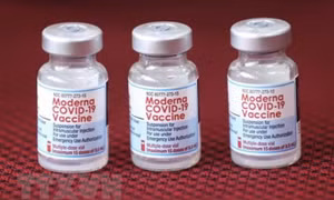 TP.HCM phản hồi Bộ Y tế về việc mua 5 triệu liều vaccine Moderna
