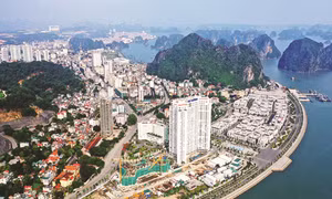 Mãi tỏa sáng tinh thần Cách mạng Tháng Tám 