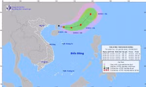 Quảng Ninh đến Thừa Thiên-Huế chủ động ứng phó với áp thấp nhiệt đới