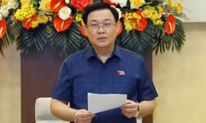 Chủ tịch Quốc hội chủ trì phiên họp về chiến lược xây dựng và hoàn thiện Nhà nước pháp quyền