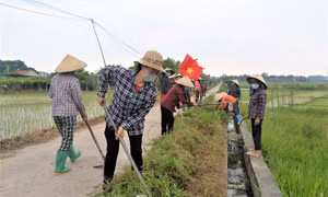 "Tam nông" ở TX Quảng Yên