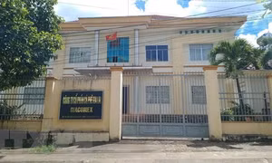 Chuyển hồ sơ vụ Giám đốc Công ty Cà phê Gia Lai sang cơ quan điều tra