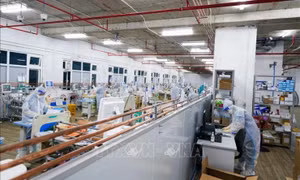 Không bố trí nhân viên y tế có bệnh nền, mang thai trực tiếp điều trị COVID-19 