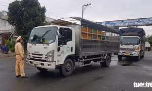Tạm đình chỉ bí thư và phó chủ tịch xã 15 ngày vì lơ là phòng dịch