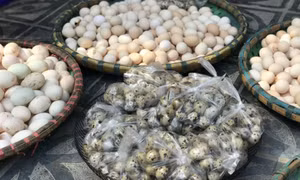 Hơn một tuần giãn cách: Giá trứng "nhảy múa", chênh cả 15.000 đồng/chục