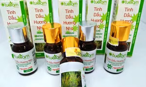 Tinh dầu hương nhu Bình Liêu